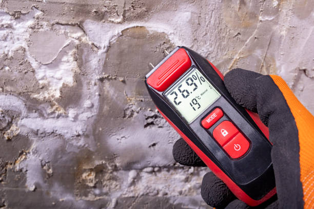 Best Bathroom Mold Remediation in Gladewater, TX